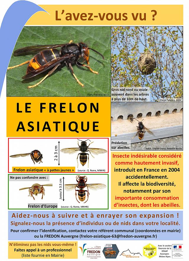 affiche_frelon_fredon_auv.jpg
