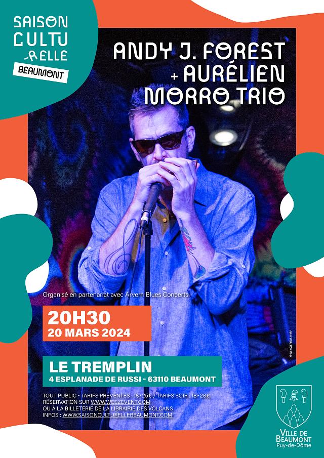andy_j_forest_-_arvern_blues_-_saison_culturelle_ville_de_beaumont-2.jpg