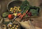 ateliers_arsept_ccas-2.jpg